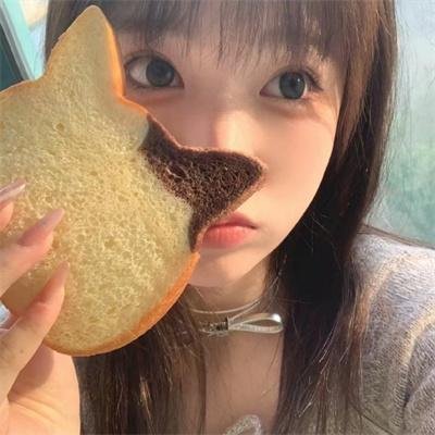巅峰拍档第三季
